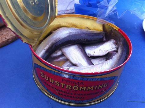 worlds smelliest fish in a can|Swedish Surströmming: The Worlds Smelliest Food